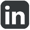 LinkedIn Icon